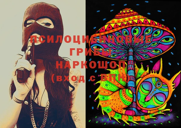 спайс Новодвинск