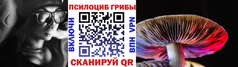 mega маркетплейс  shop состав  Псилоцибиновые грибы мицелий  Самара 